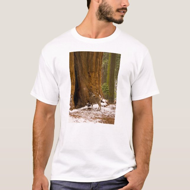 Mule Deer T-Shirt (Front)