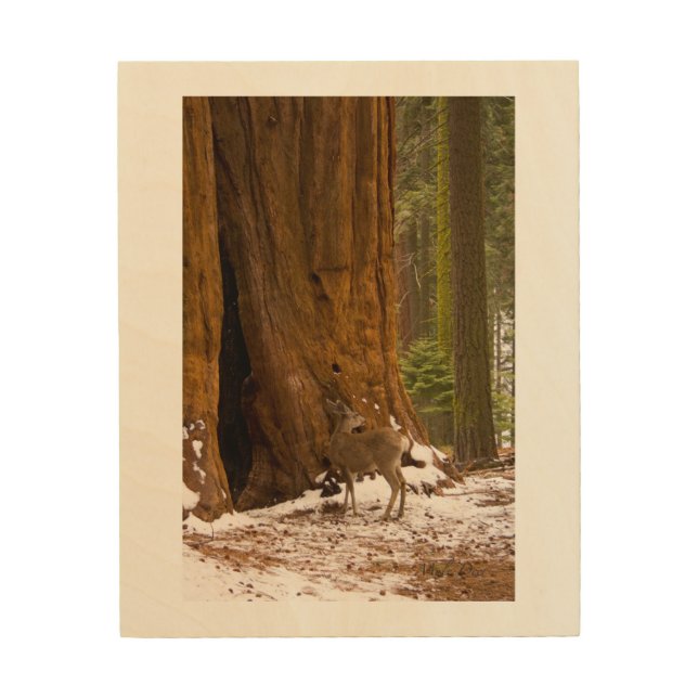 Mule Deer Wood Wall Decor (Front)