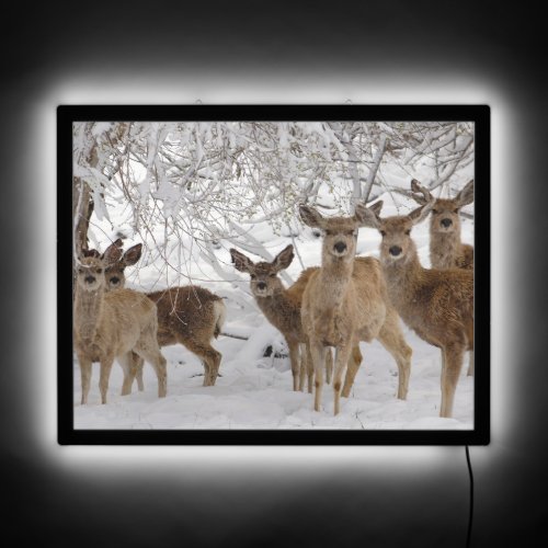 Mule Deer Wyoming LED Sign