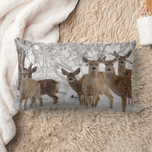 Mule Deer Wyoming Lumbar Pillow