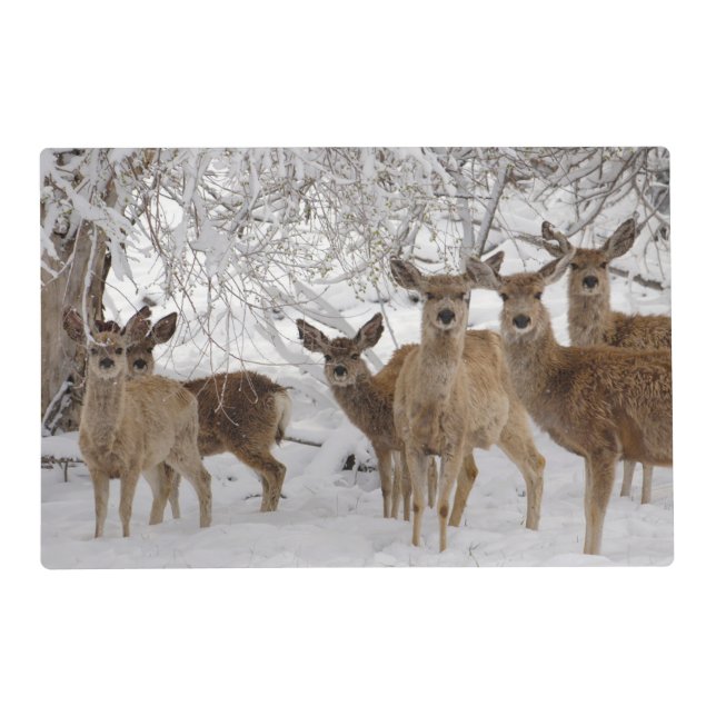 Mule Deer Wyoming Placemat (Front)