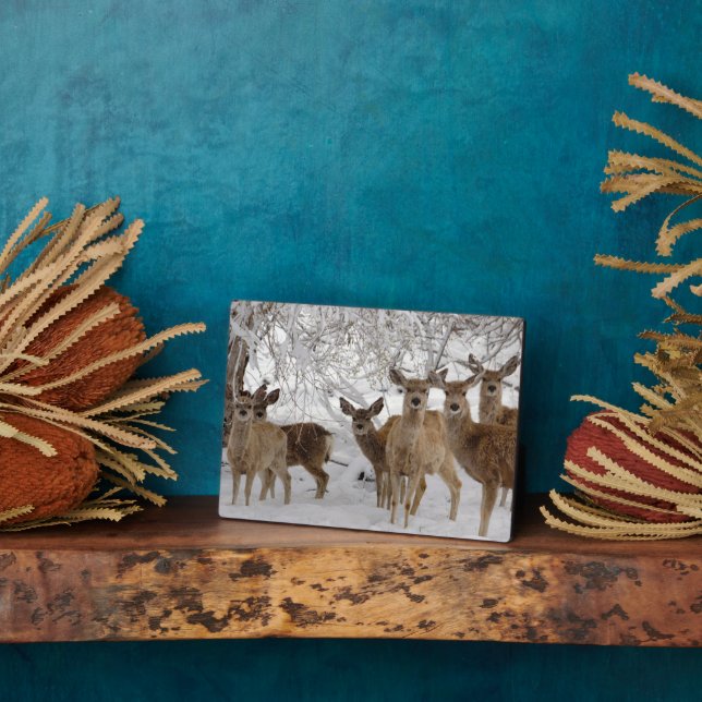 Mule Deer Wyoming Plaque (Side)