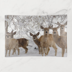 Mule Deer Wyoming Trinket Tray