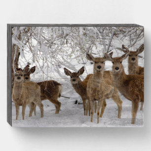 Mule Deer Wyoming Wooden Box Sign