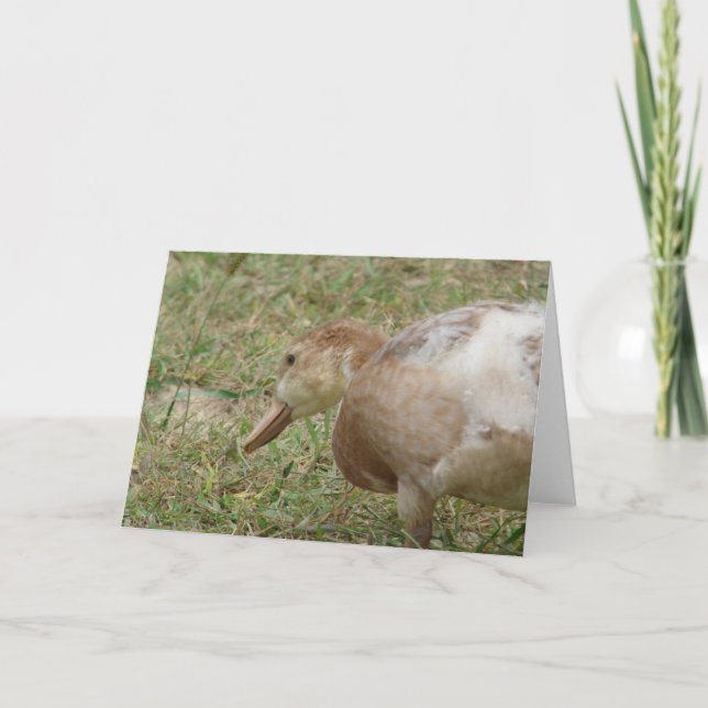 Mule Duck Card (Front)