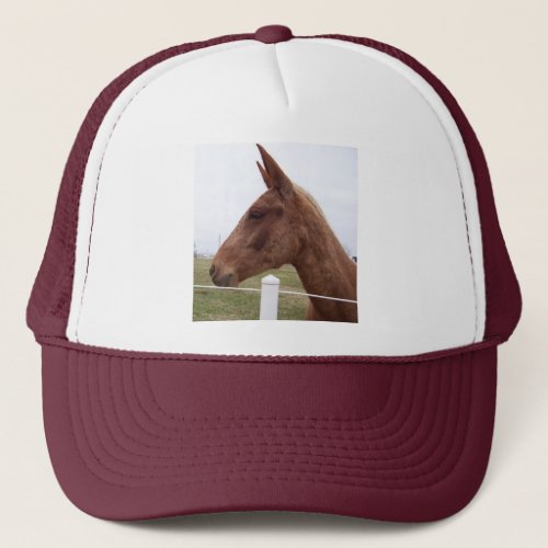 Mule_Headed Hat  Cap