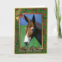 Mule Horse Blank Christmas Card