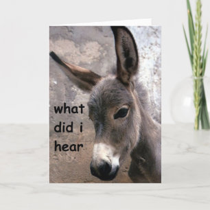 MULE-ISH 40th ADULT BIRTHDAY HUMOR Card