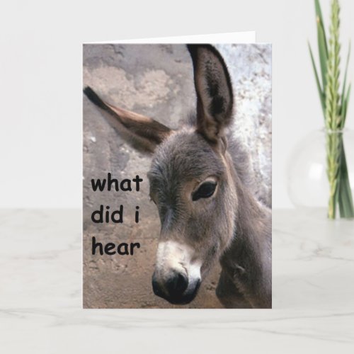 MULE_ISH 50th ADULT BIRTHDAY HUMOR Card