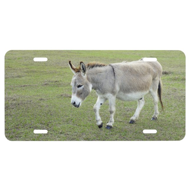 Mule License Plate (Front)