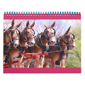 mules and donkeys calendar