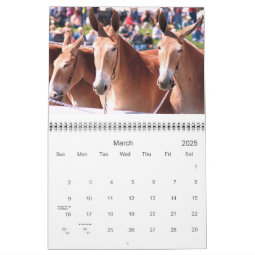 mules and donkeys calendar | Zazzle