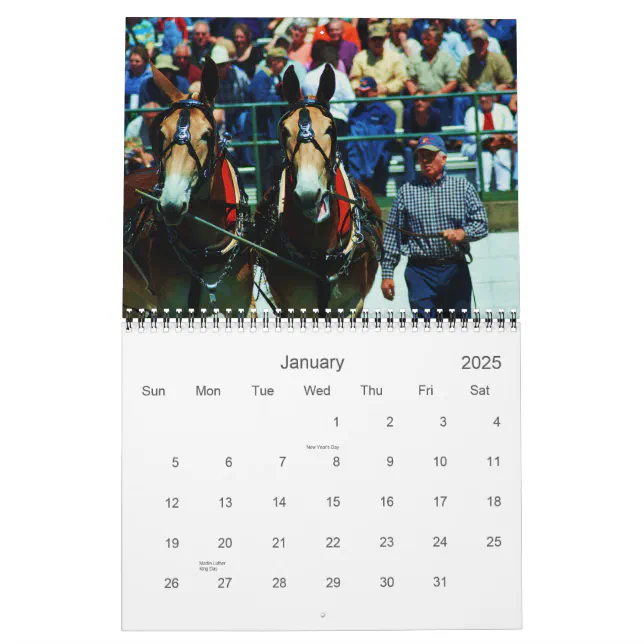 mules and donkeys calendar | Zazzle