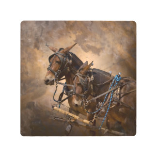 Mules in Harness Metal Print