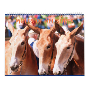 MULES MULES MULES CALENDAR