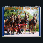 MULES, MULES, MULES CALENDAR<br><div class="desc">PICTURES OF MULES FROM VARIOUS EVENTS SUCH AS COLUMBIA MULE DAYS,  OZARK MULE DAYS,  WOOFORD,  KY MULE SHOW</div>