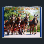 MULES, MULES, MULES CALENDAR<br><div class="desc">PICTURES OF MULES FROM VARIOUS EVENTS SUCH AS COLUMBIA MULE DAYS,  OZARK MULE DAYS,  WOOFORD,  KY MULE SHOW</div>