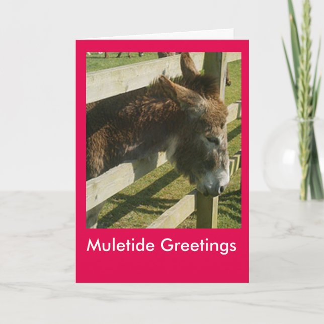 Muletide Greetings Holiday Card (Front)