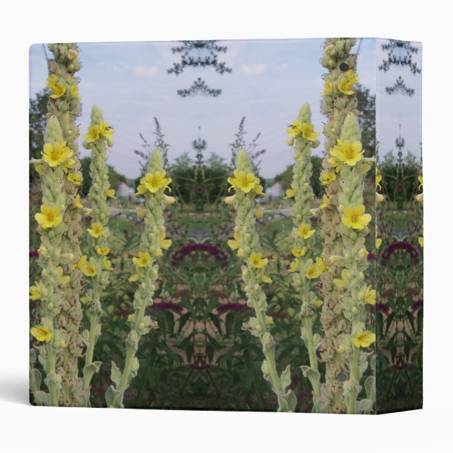Mullein Plant Spirit Binder (Back/Spine)