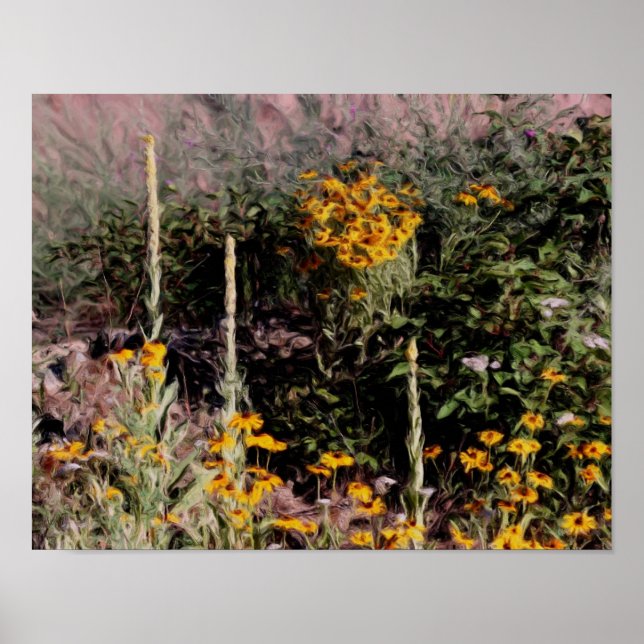 Mulleins Black Eyed Susan Flowers Poster (Front)