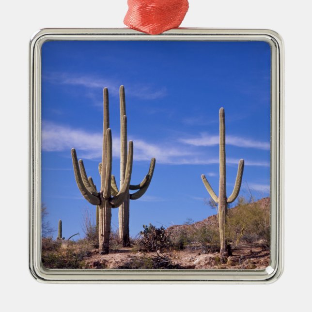 Multi armed Giant Saguaro cactus, Saguaro Metal Ornament (Front)