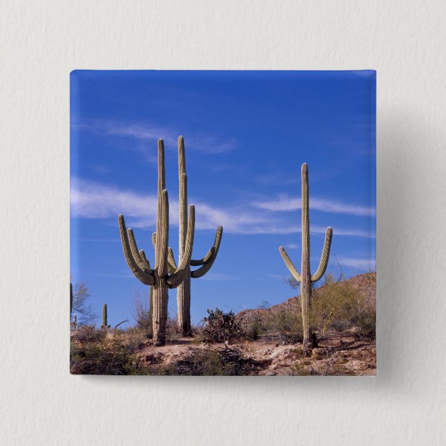Multi armed Giant Saguaro cactus, Saguaro Pinback Button (Front)