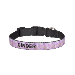 Multi Color Dog Collar