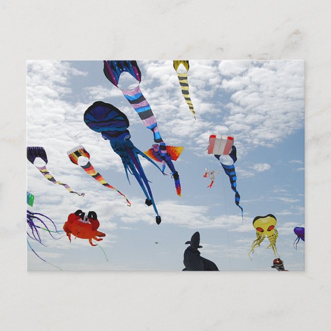 Multi Color Kites Painting the sky Postcard (Front)