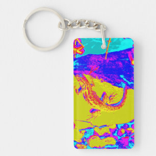 multi-color lizard keychain