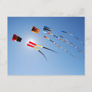 Multi Color Long Tail Kites Postcard