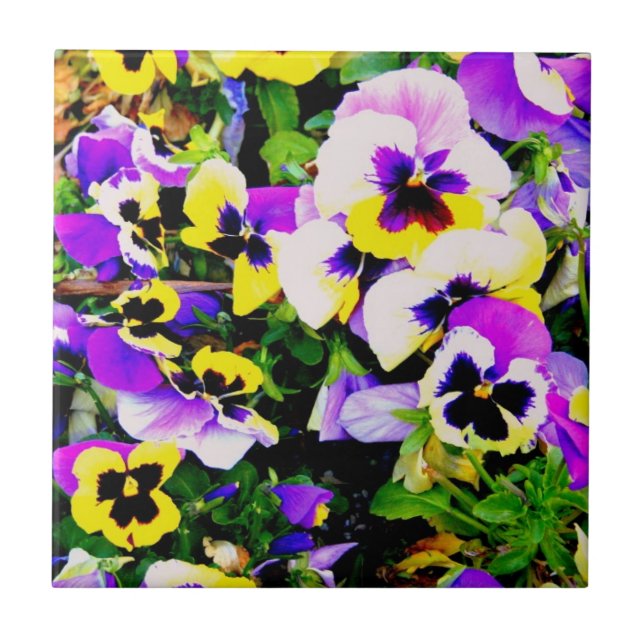 multi-color pansies tile (Front)