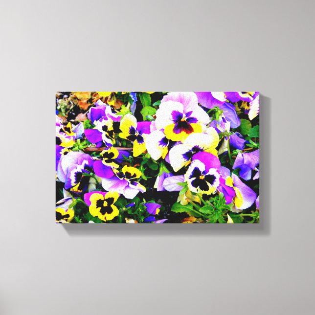 multi-color pansies wrapped canvas print (Front)