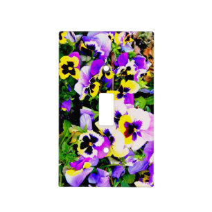 multi color pansy cover