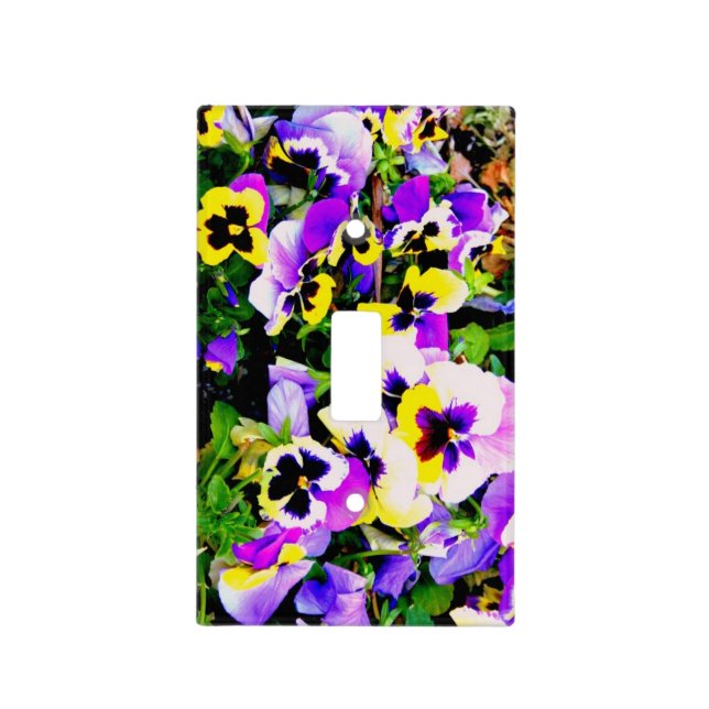multi color pansy cover (Front)