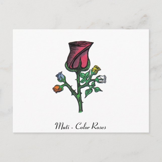 Multi - Color Roses Postcard (Front)