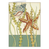 Multi-Color Shell Party (Front)