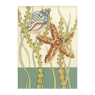 Multi-Color Shell Party Acrylic Print