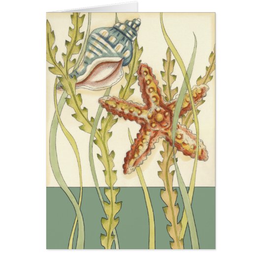 Multi-Color Shell Party Cards (Front)