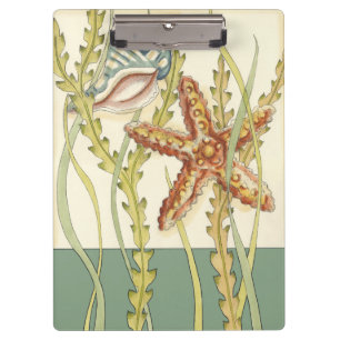 Multi-Color Shell Party Clipboard