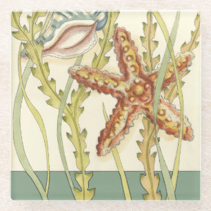 Multi-Color Shell Party Glass Coaster