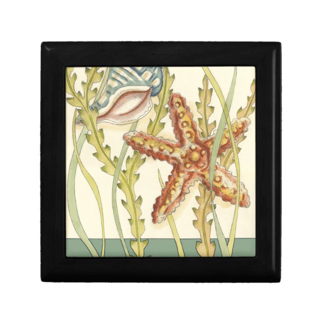 Multi-Color Shell Party Jewelry Box (Front)