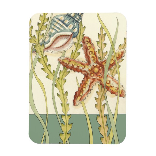 Multi-Color Shell Party Magnet (Vertical)