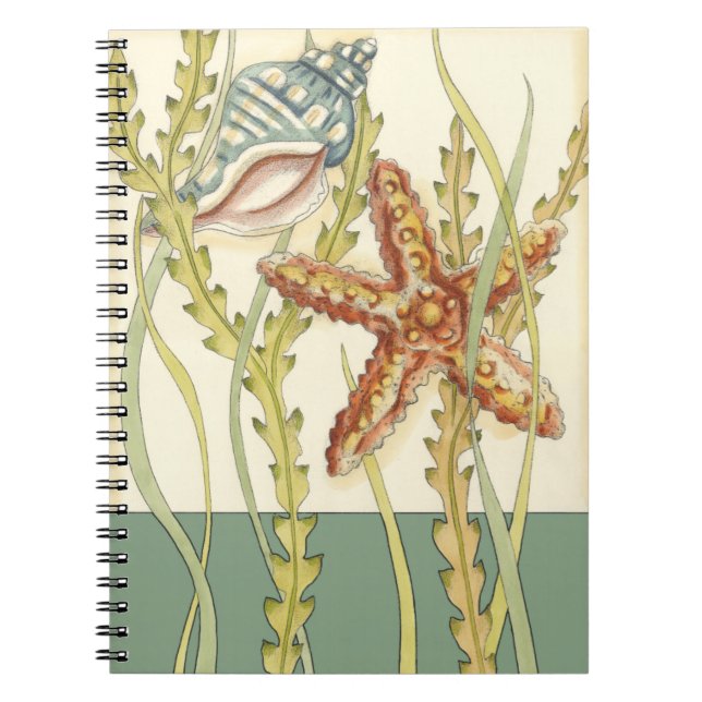 Multi-Color Shell Party Notebook (Front)