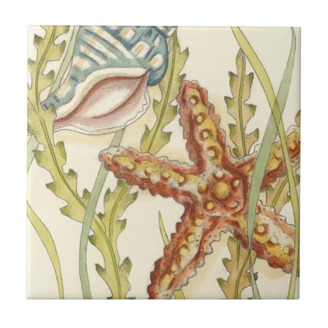 Multi-Color Shell Party Tile (Front)