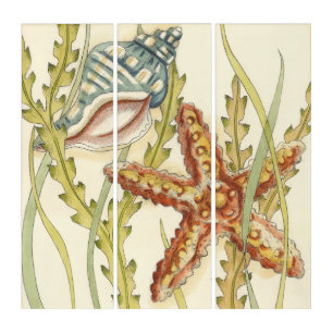 Multi-Color Shell Party Triptych