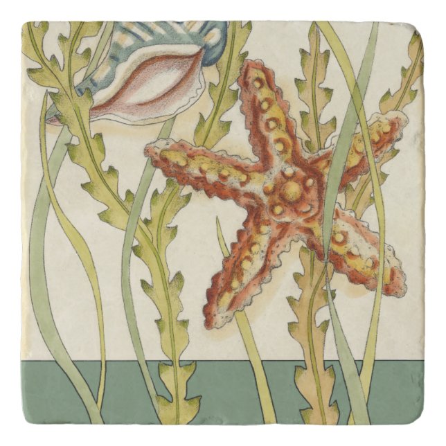 Multi-Color Shell Party Trivet (Front)