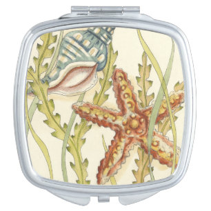 Multi-Color Shell Party Vanity Mirror