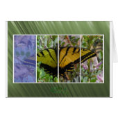 Multi Colored Butterfly Cards (Front Horizontal)