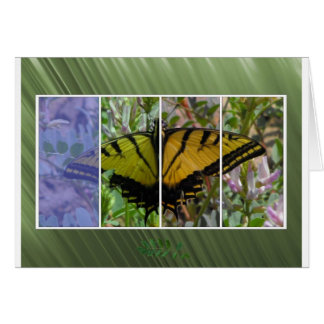 Multi Colored Butterfly Cards