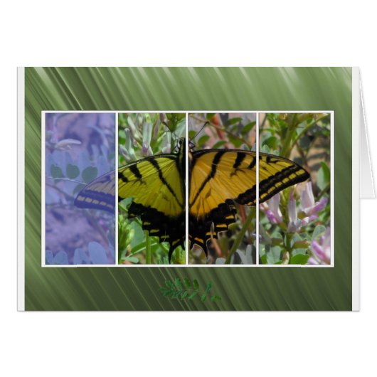 Multi Colored Butterfly Cards (Front Horizontal)